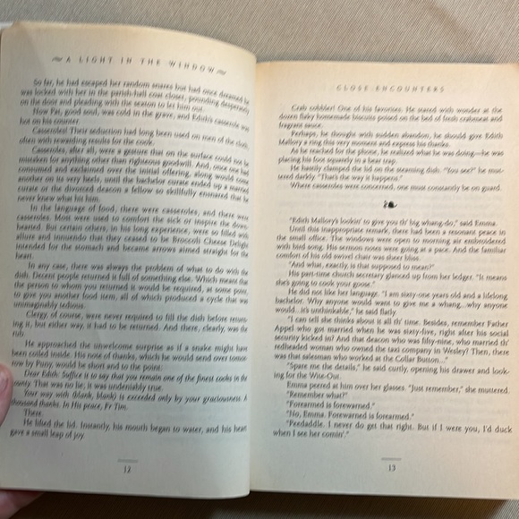 🌈2/$8  A Light in the Window #2 in the Mitford Years Series - Picture 10 of 12